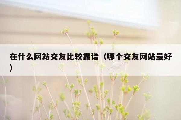 在什么网站交友比较靠谱（哪个交友网站最好）