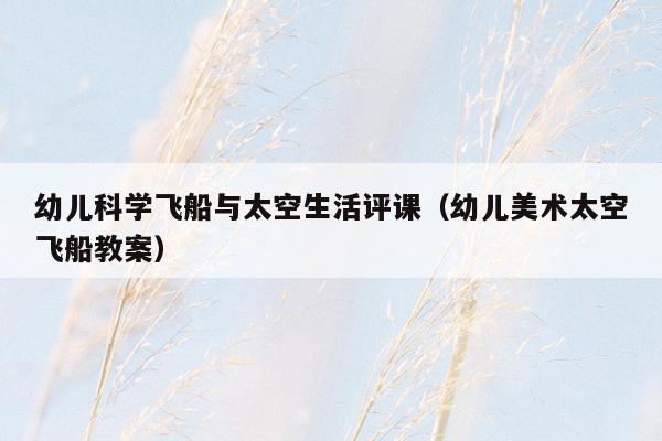 幼儿科学飞船与太空生活评课（幼儿美术太空飞船教案）