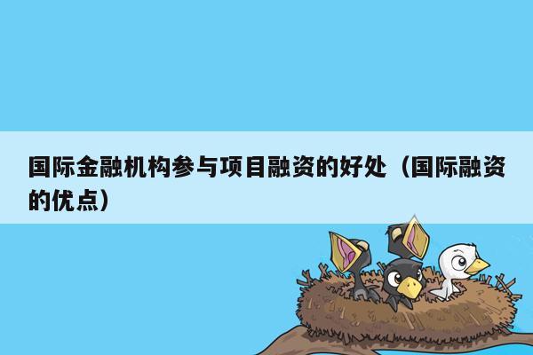 国际金融机构参与项目融资的好处（国际融资的优点）