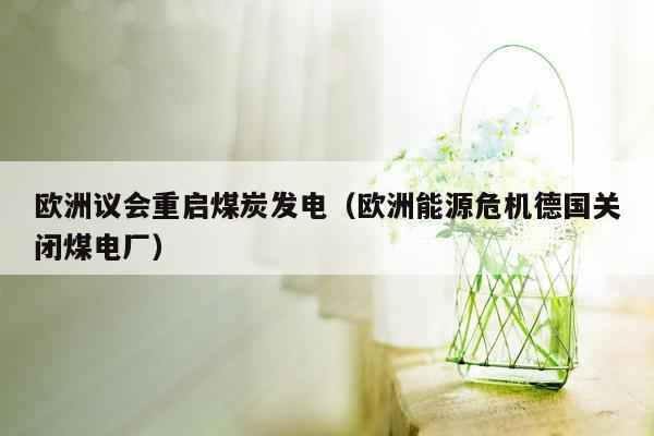 欧洲议会重启煤炭发电（欧洲能源危机德国关闭煤电厂）