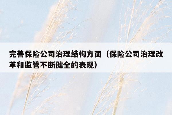 完善保险公司治理结构方面（保险公司治理改革和监管不断健全的表现）