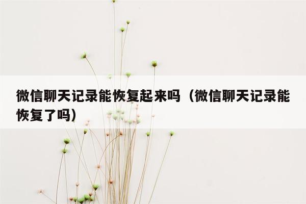 微信聊天记录能恢复起来吗（微信聊天记录能恢复了吗）