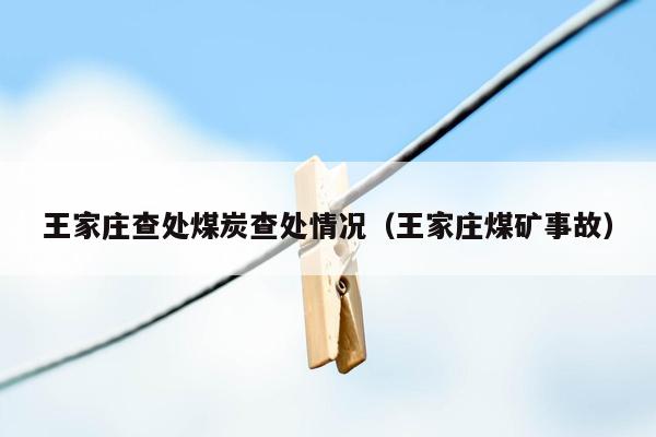王家庄查处煤炭查处情况（王家庄煤矿事故）