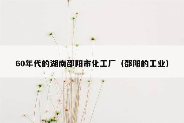 60年代的湖南邵阳市化工厂（邵阳的工业）