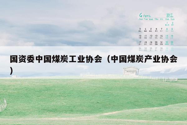 国资委中国煤炭工业协会（中国煤炭产业协会）
