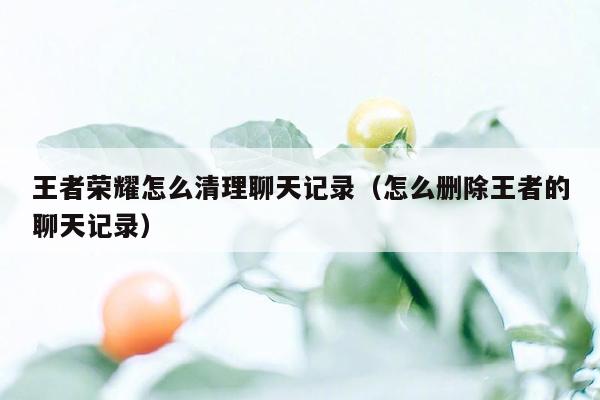 王者荣耀怎么清理聊天记录（怎么删除王者的聊天记录）