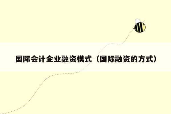 国际会计企业融资模式（国际融资的方式）