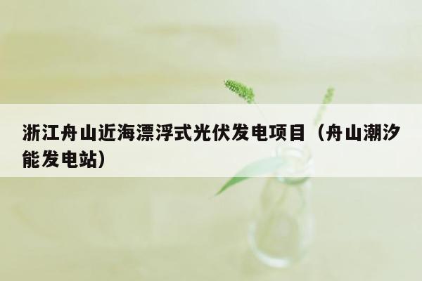 浙江舟山近海漂浮式光伏发电项目（舟山潮汐能发电站）