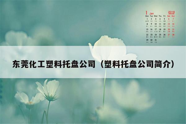 东莞化工塑料托盘公司（塑料托盘公司简介）
