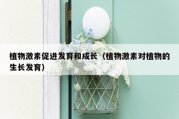 植物激素促进发育和成长（植物激素对植物的生长发育）
