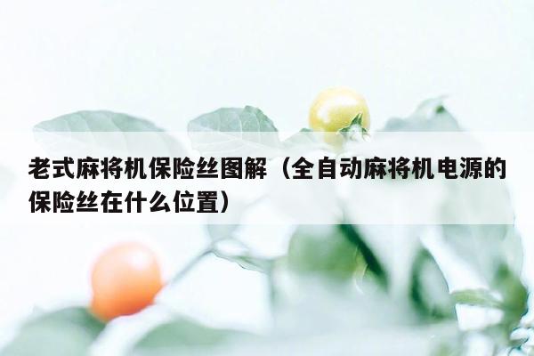 老式麻将机保险丝图解（全自动麻将机电源的保险丝在什么位置）