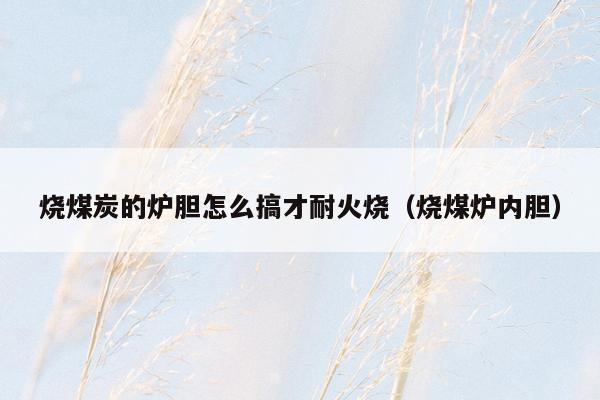 烧煤炭的炉胆怎么搞才耐火烧（烧煤炉内胆）