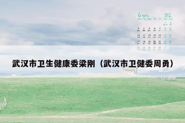 武汉市卫生健康委梁刚（武汉市卫健委周勇）
