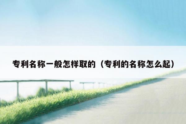 专利名称一般怎样取的（专利的名称怎么起）