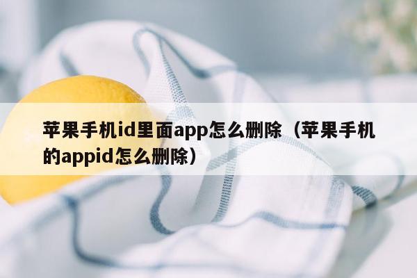 苹果手机id里面app怎么删除（苹果手机的appid怎么删除）