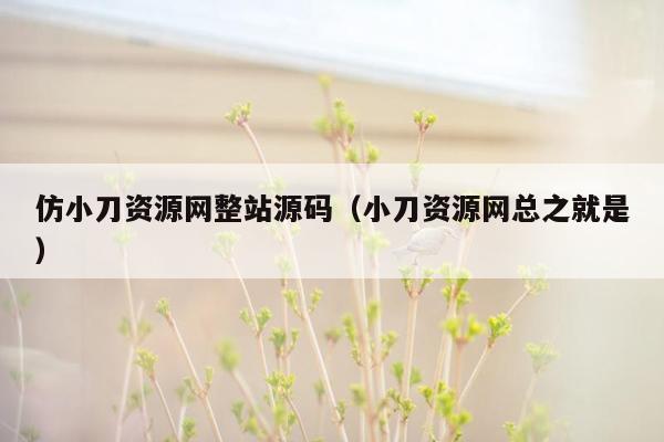 仿小刀资源网整站源码（小刀资源网总之就是）