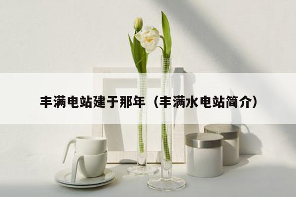 丰满电站建于那年（丰满水电站简介）