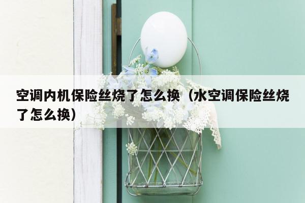 空调内机保险丝烧了怎么换（水空调保险丝烧了怎么换）