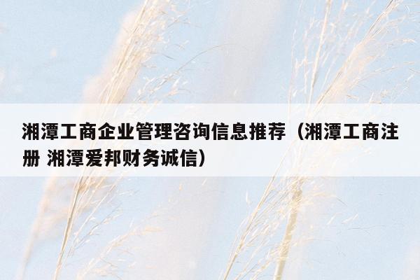 湘潭工商企业管理咨询信息推荐（湘潭工商注册 湘潭爱邦财务诚信）