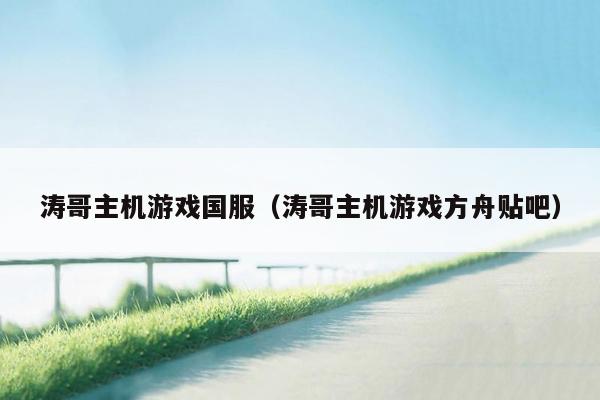 涛哥主机游戏国服（涛哥主机游戏方舟贴吧）
