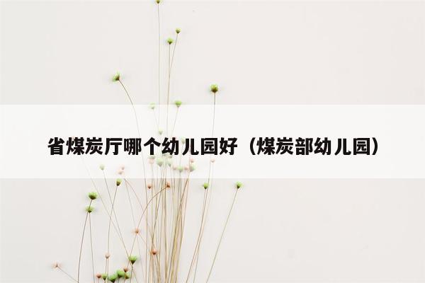 省煤炭厅哪个幼儿园好（煤炭部幼儿园）