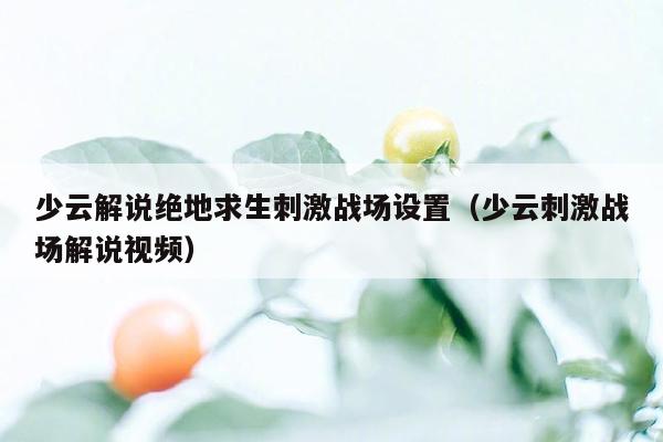 少云解说绝地求生刺激战场设置（少云刺激战场解说视频）