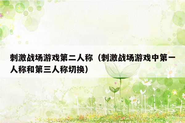 刺激战场游戏第二人称（刺激战场游戏中第一人称和第三人称切换）