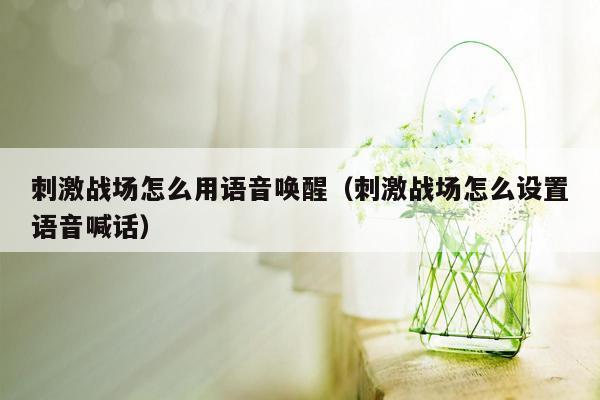 刺激战场怎么用语音唤醒（刺激战场怎么设置语音喊话）