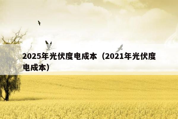 2025年光伏度电成本（2021年光伏度电成本）