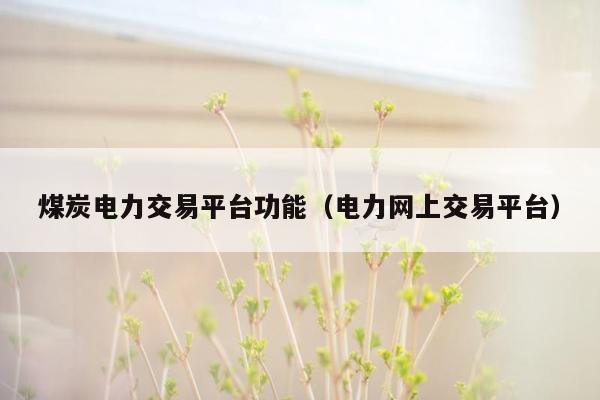煤炭电力交易平台功能（电力网上交易平台）