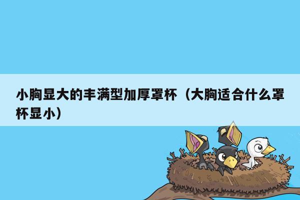小胸显大的丰满型加厚罩杯（大胸适合什么罩杯显小）