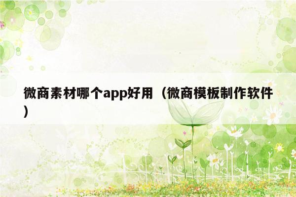 微商素材哪个app好用（微商<strong>模板</strong>制作软件）