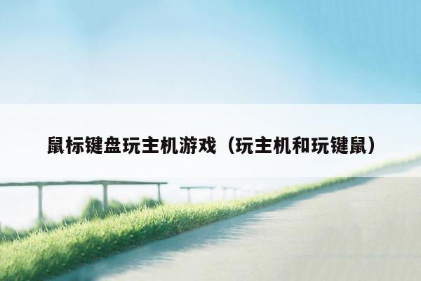 鼠标键盘玩主机游戏（玩主机和玩键鼠）
