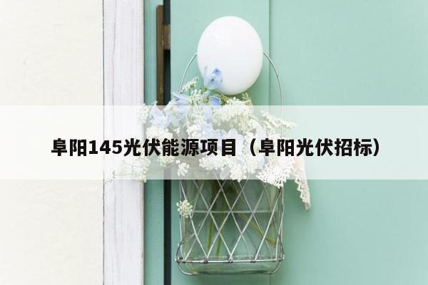 阜阳145光伏能源项目（阜阳光伏招标）