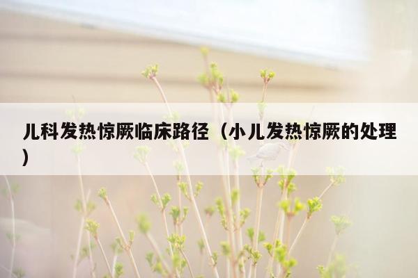儿科发热惊厥临床路径（小儿发热惊厥的处理）