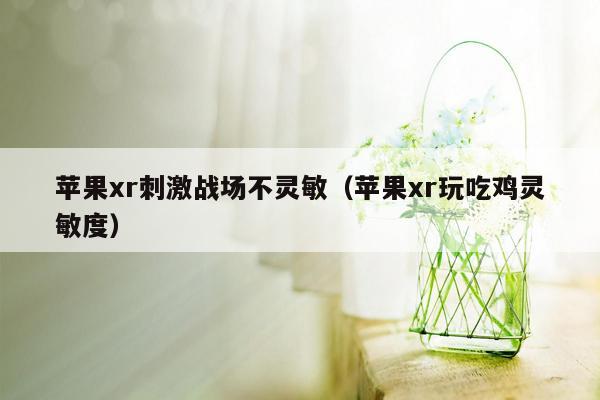 苹果xr刺激战场不灵敏（苹果xr玩吃鸡灵敏度）