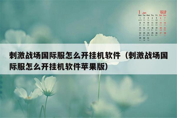 刺激战场国际服怎么开挂机软件（刺激战场国际服怎么开挂机软件苹果版）