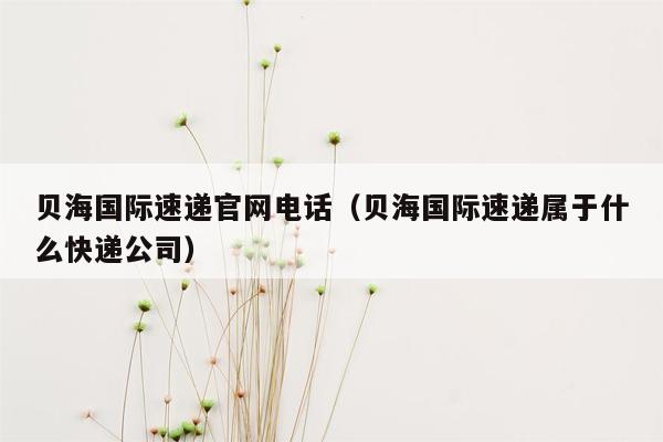 贝海国际速递官网电话（贝海国际速递属于什么快递公司）