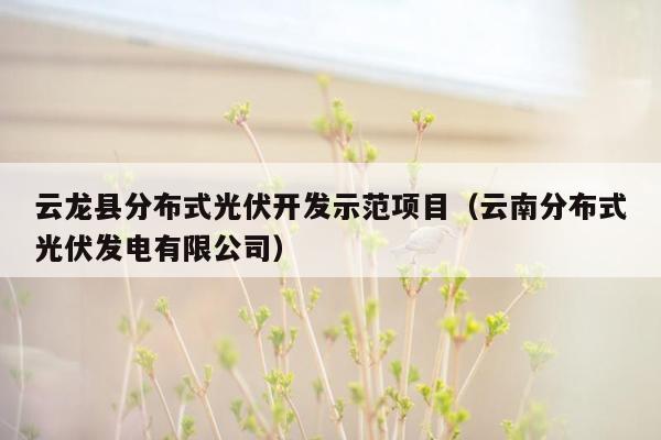 云龙县分布式光伏开发示范项目（云南分布式光伏发电有限公司）