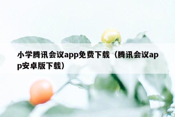 小学腾讯会议app免费下载（腾讯会议app安卓版下载）
