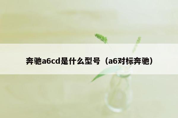 奔驰a6cd是什么型号（a6对标奔驰）