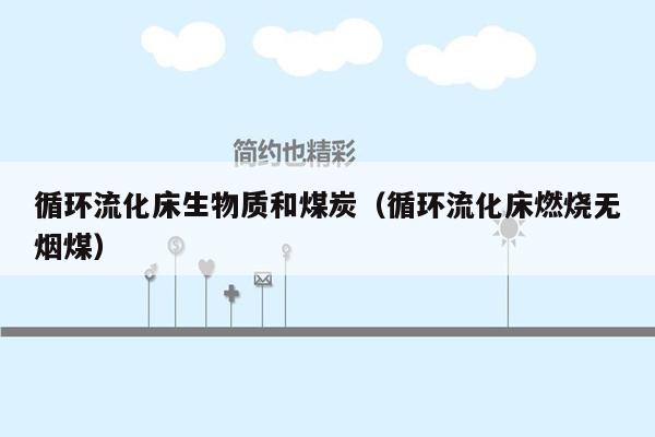 循环流化床生物质和煤炭（循环流化床燃烧无烟煤）