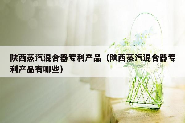 陕西蒸汽混合器专利产品（陕西蒸汽混合器专利产品有哪些）