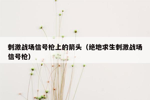 刺激战场信号枪上的箭头（绝地求生刺激战场信号枪）