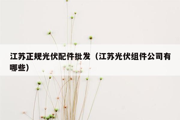 江苏正规光伏配件批发（江苏光伏组件公司有哪些）