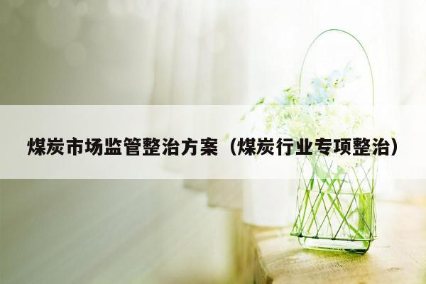 煤炭市场监管整治方案（煤炭行业专项整治）