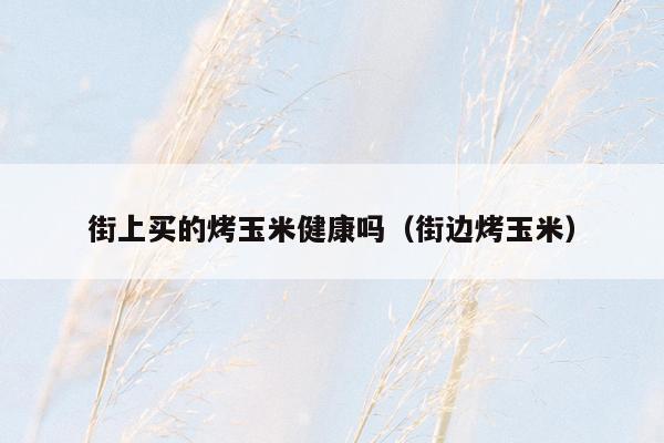 街上买的烤玉米健康吗（街边烤玉米）