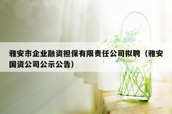 雅安市企业融资担保有限责任公司拟聘（雅安国资公司公示公告）
