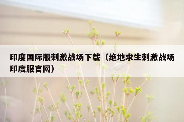 印度国际服刺激战场下载（绝地求生刺激战场印度服官网）