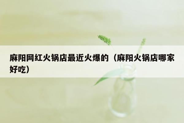 麻阳网红火锅店最近火爆的（麻阳火锅店哪家好吃）